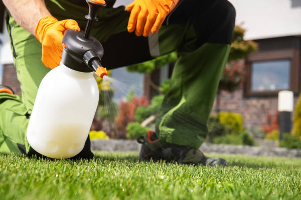 Best Bed Bug Extermination  in New Berlin, WI