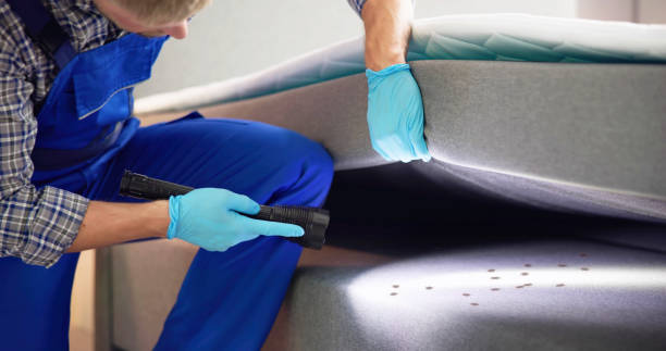 Best Residential Pest Control  in New Berlin, WI