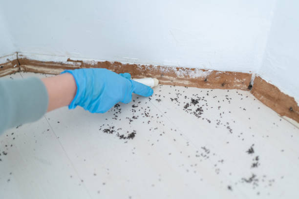 Best Pest Removal Services  in New Berlin, WI